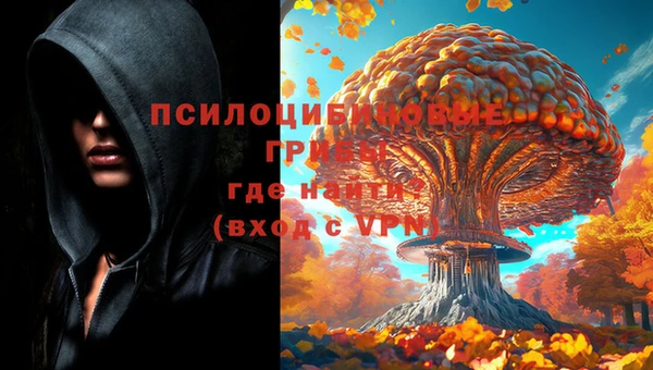 герыч Алзамай