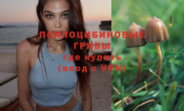 амф Алексин