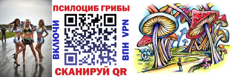 Галлюциногенные грибы GOLDEN TEACHER Ачинск